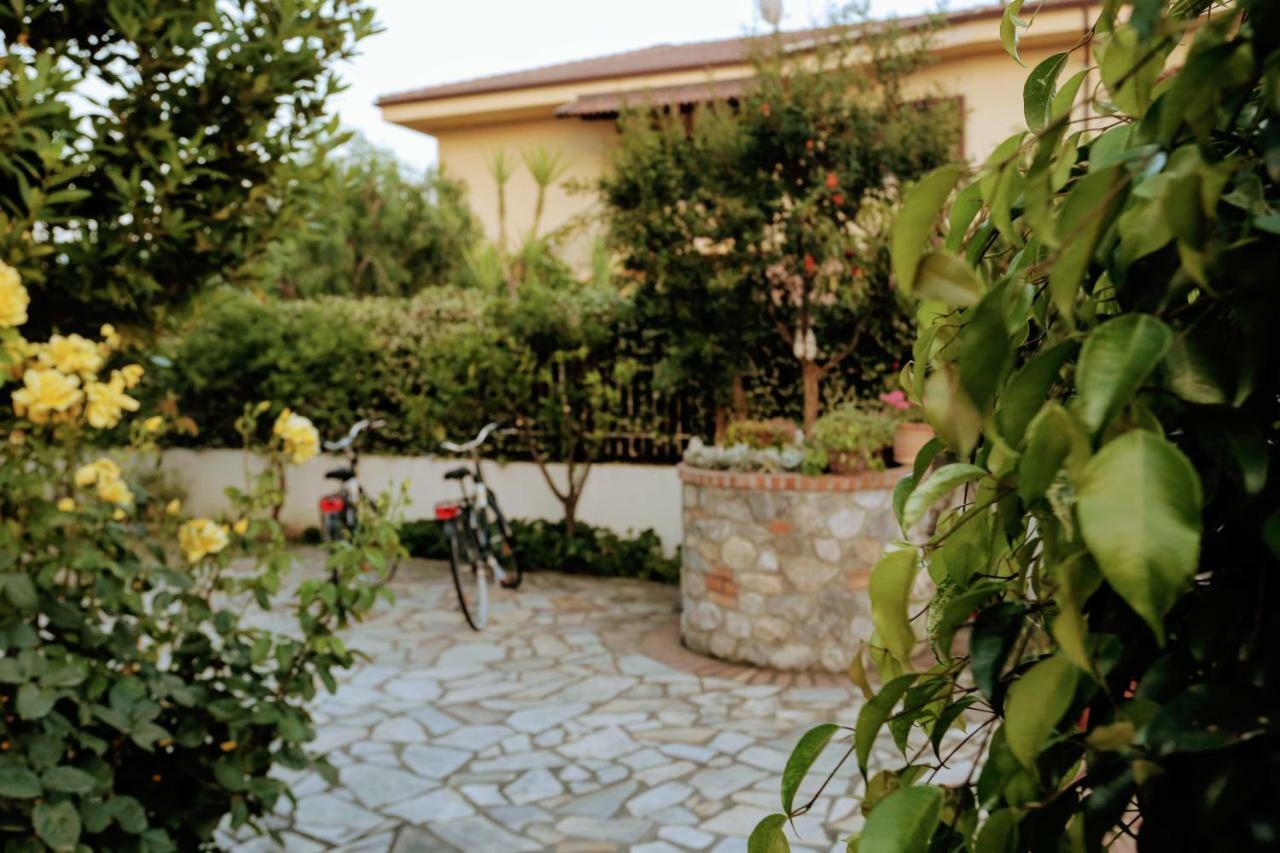 Zama Bed&Breakfast スカレア エクステリア 写真