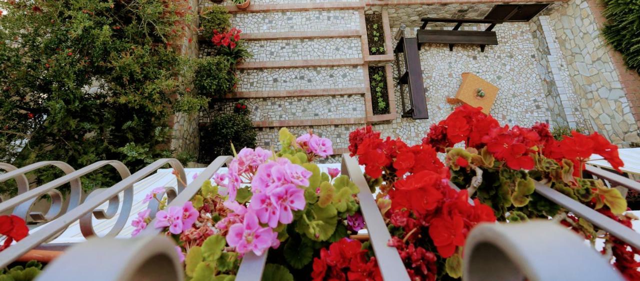 Zama Bed&Breakfast スカレア エクステリア 写真